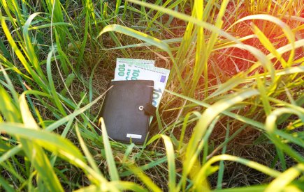 Geef uw mening over het 'do no significant harm'-principe