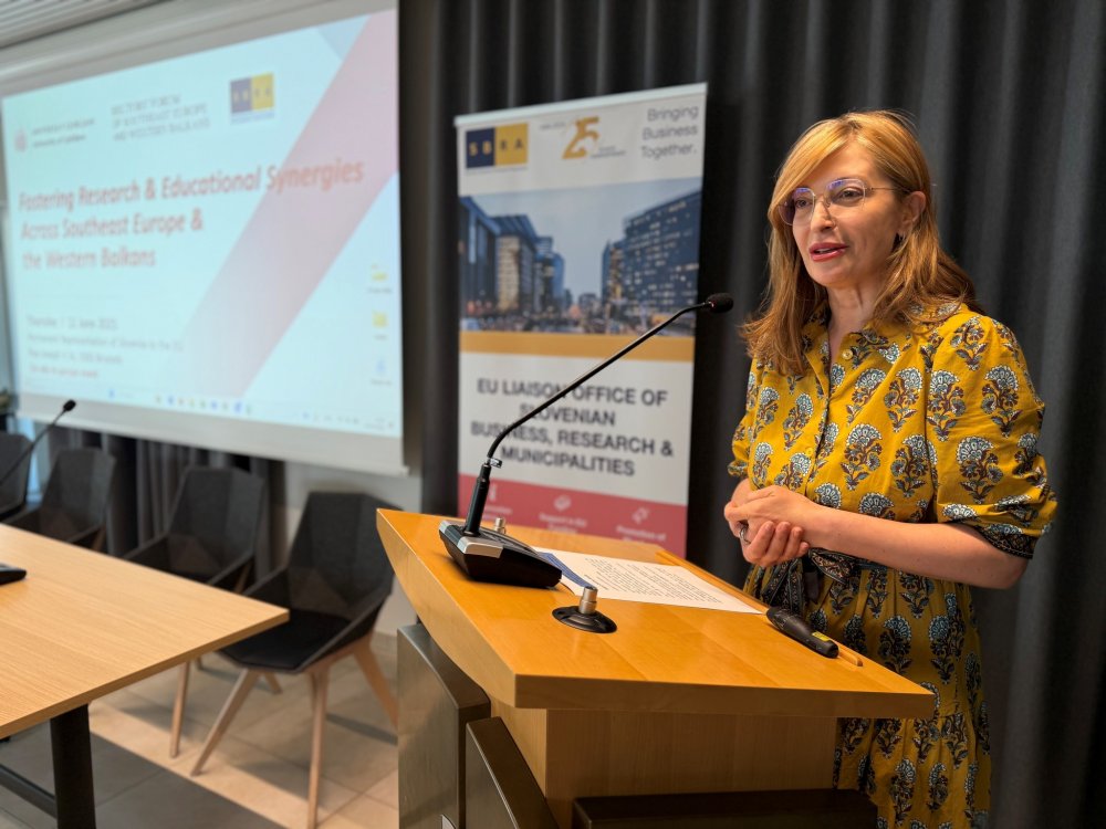 KP10, academische vrijheid en innovatie: Europa&rsquo;s uitdagingen en kansen in Zuidoost-Europa en de Westelijke Balkan 